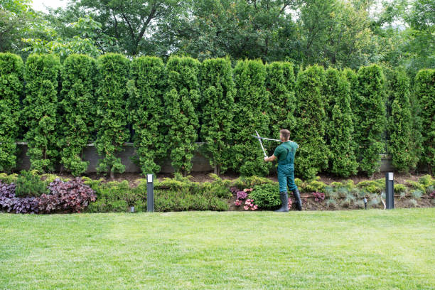 Lawn Watering Services in Forest Park, OH